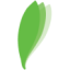 Logo IFFE FUTURA SA EO 2