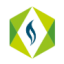 Logo Tethys Petroleum