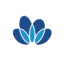 Logo SINOCHEM INTL A YC 1