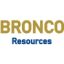 Logo Bronco Resources