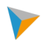 Logo mVISE AG