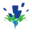 Logo Heron Therapeutics