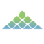 Logo Ambarella