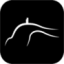 Logo Bradda Head Holdings