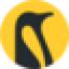 Logo Penguin Solutions