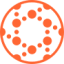 Logo Solid Biosciences