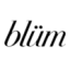 Logo Blum Holdings
