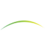 Logo Piedmont Lithium