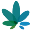 Logo KHIRON LIFE SCIENCES
