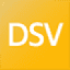 Logo Discovery Silver