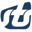 Logo STS Group