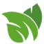 Logo Modern Plant Based Foods