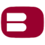 Logo Buckle