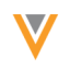 Logo Veeva System