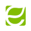 Logo Energy Focus