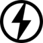 Logo Lion Electric
