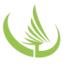 Logo Conifex Timber