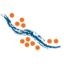Logo LARAMIDE RESOURCES CDIS