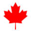 Logo Star Diamond