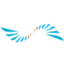 Logo District Copper