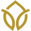 Logo Ayurcann Holdings