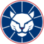 Logo Panther Minerals