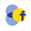 Logo Formycon