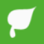 Logo Steico