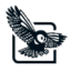 Logo STRIX GROUP PLC LS -,01