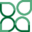 Logo Transition Evergreen