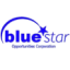 Logo Blue Star Opportunities
