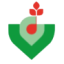Logo Graines VOLTZ