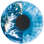 Logo IDS