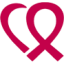 Logo BRASTER A,B ZY-,10
