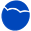 Logo Vita Coco