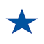 Logo Blue Star Foods