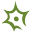 Logo NervGen Pharma