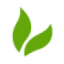 Logo Noumi