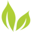 Logo BRIGHT GREEN CORP.