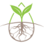 Logo ARGO LIVING SOILS CORP.