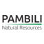 Logo PAMBILI NATURAL RESOURCES