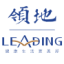 Logo LEADING HOLDINGS DL-,01