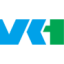 Logo VITAL KSK HLDGS INC.
