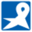 Logo SHINKO SHOJI CO. LTD Y50