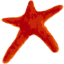 Logo H. Lundbeck B