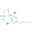 Logo CBD DENVER INC.NEW DL-,01
