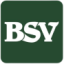 Logo BANK SOUTHSIDE CDT DL-,01