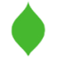 Logo BOYLE BANCORP. CDT-CAP