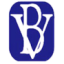 Logo BV FINANCIAL INC. NEW