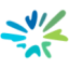 Logo CELERITY SOLUTIONS DL-,10